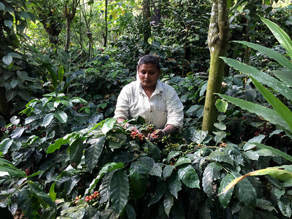 Qahwa Espresso, Indien, 100 % Robusta, Single Origin