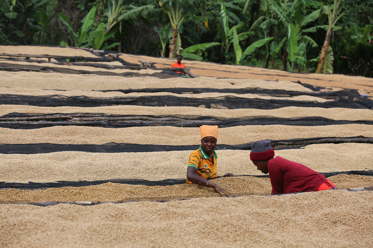 Humure Espresso - Rwanda, 100% Arabica, Single Origin