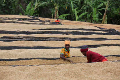 Humure Espresso - Rwanda, 100% Arabica, Single Origin