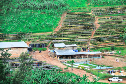 Humure Espresso - Rwanda, 100% Arabica, Single Origin
