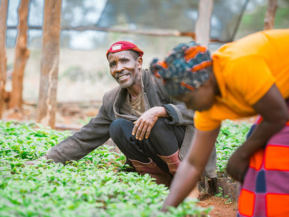 Tamu Espresso, Tansania, 100 % Arabica, Single Origin