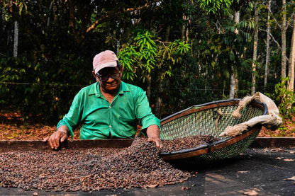 Baobab Decaf, Brazil, 100% Arabica, Single Origin